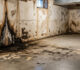 Warning Signs Your Basement Needs Waterproofing